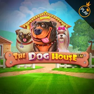 The Dog House – Slotoro Casino Spiel